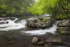 Cascading mountain stream-Great Smoky Mountains National Park-Tennessee-North Carolina Art Print